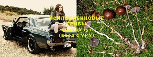 круглые Абаза