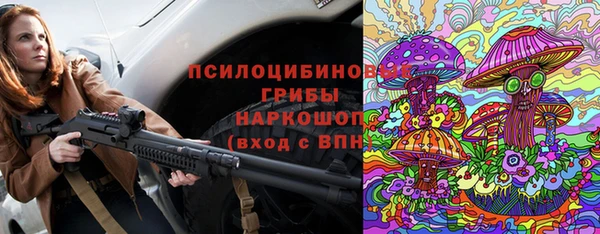 круглые Абаза