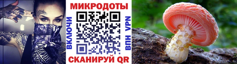 Псилоцибиновые грибы Psilocybe  купить  цена  Яблоновский 